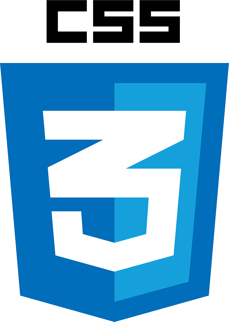 CSS Logo